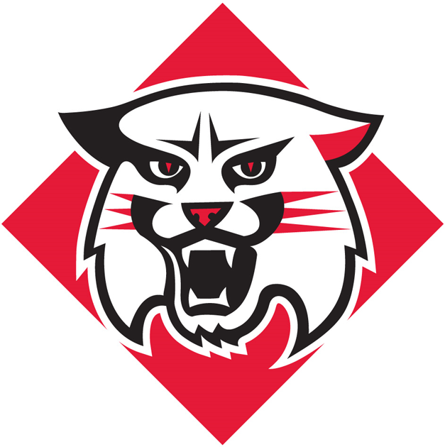 Davidson Wildcats 2010-Pres Primary Logo diy iron on heat transfer